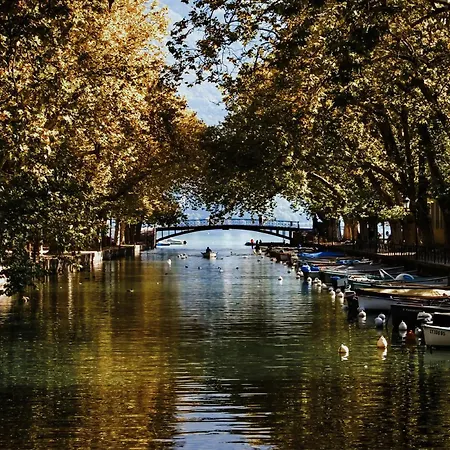 Etoile Carnot Au Coeur De La Vieille Annecy